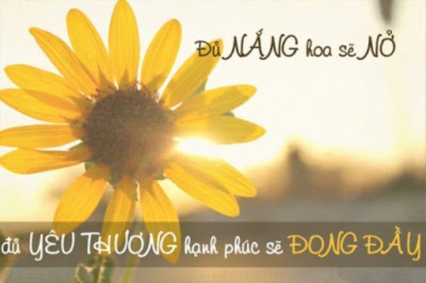Cho đi yêu thương để nhận lại yêu thương cho-di-yeu-thuong-de-nhan-lai-yeu-thuong